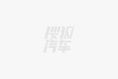 施华集团  Ecotan Ecotan无铬无金属皮革：从天然